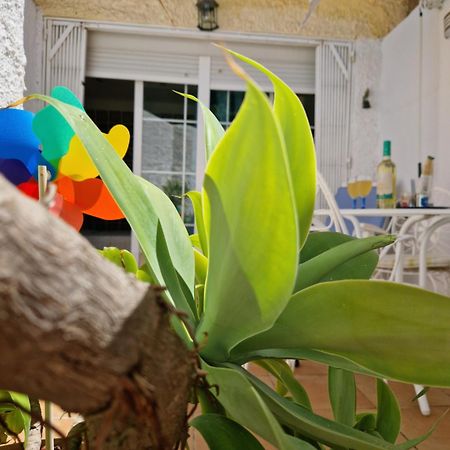 San Antonio - Beach, Pool And Terrace Торремолинос Экстерьер фото