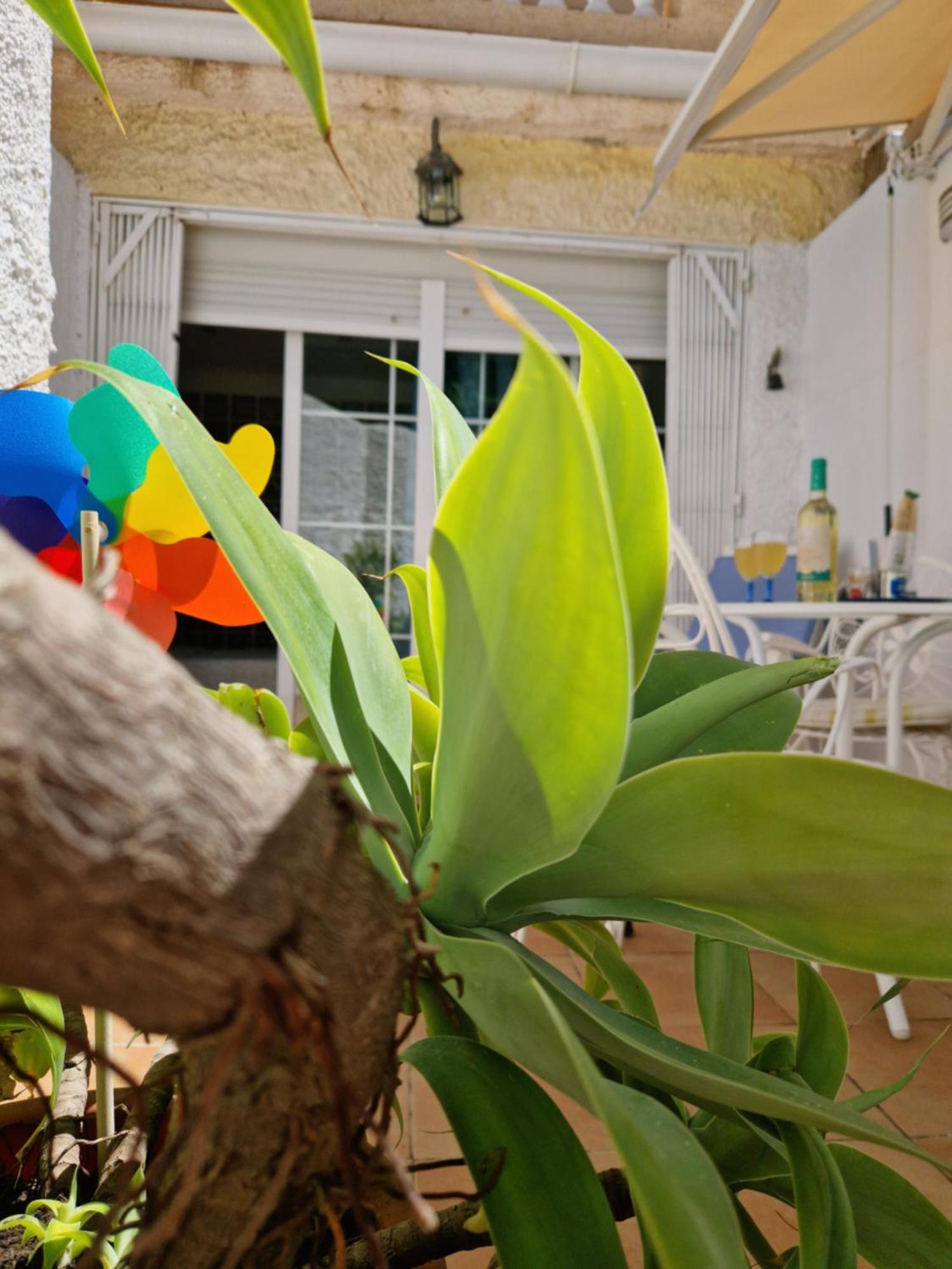 San Antonio - Beach, Pool And Terrace Торремолинос Экстерьер фото